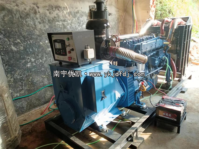 2024年3月5日，200kw濰坊雷納發(fā)電機組某學(xué)校到貨安裝